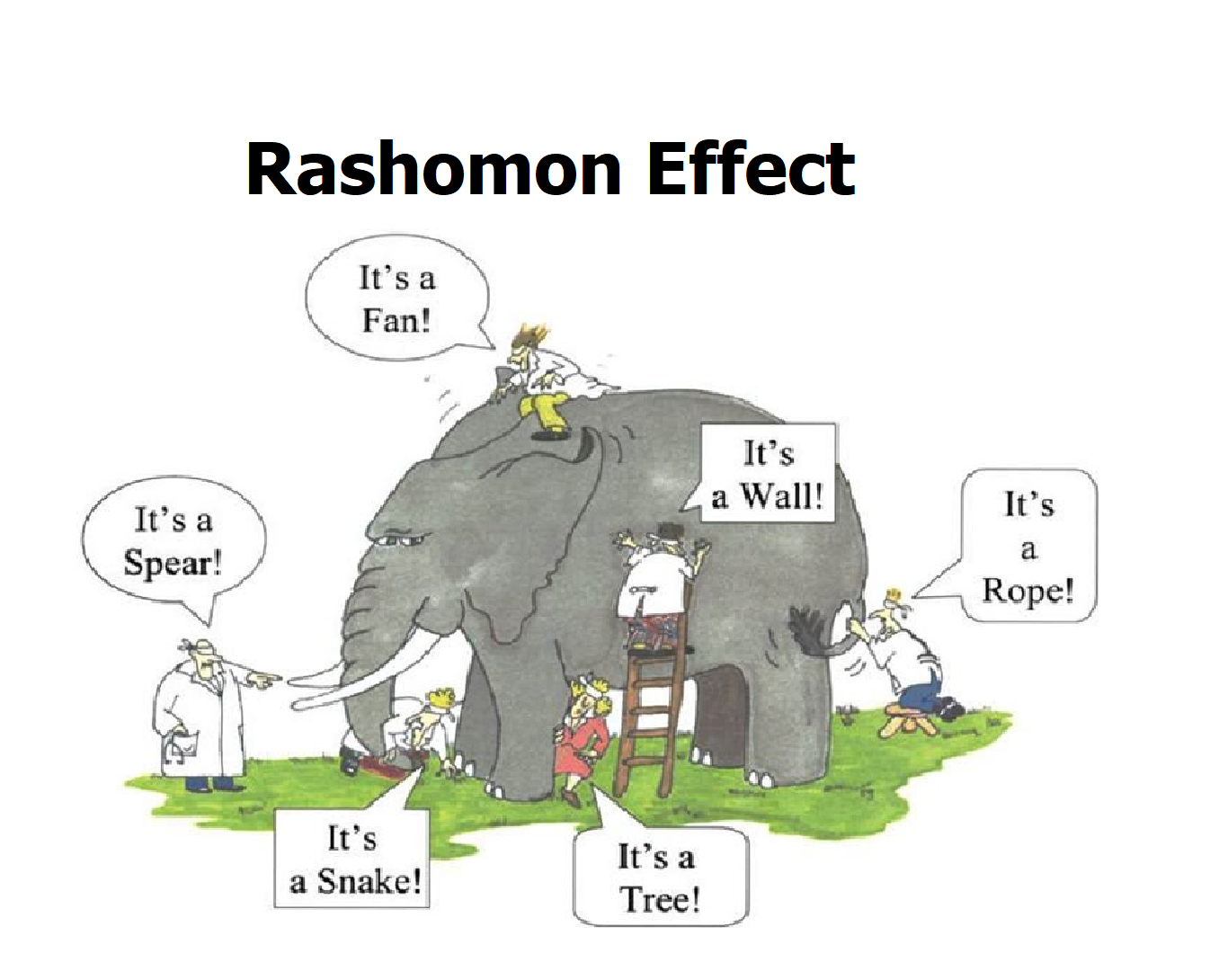 The Rashomon Effect 
